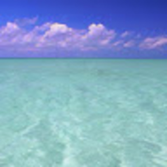 Meet your Posher, Janet - Picture 1 of 1